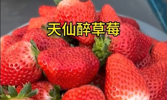 № 53  Цзюсян (Jiu Xiang) или Тяньсаньцзуй